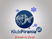 logo_swieta_2011