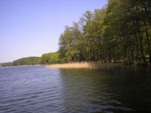 KLubPirania_Łagów