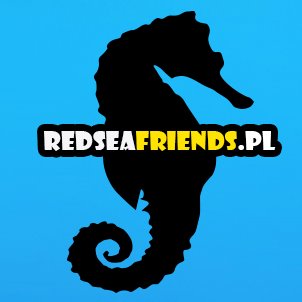 RedSeaFriends.pl – nowy portal